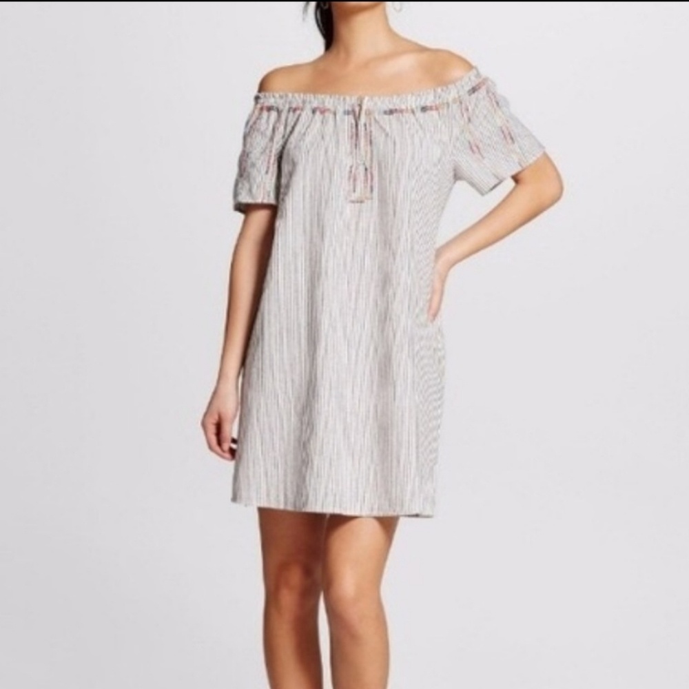 Embroidered Dress ( NWOT )